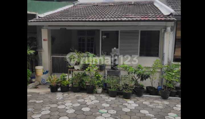 House in Tlogomukti Semarang 1