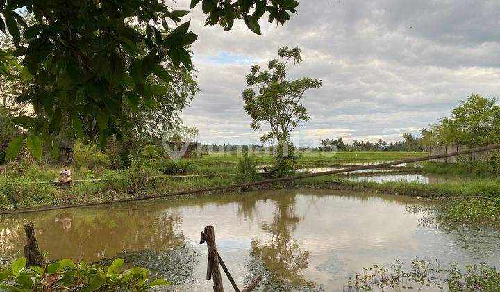 Dijual Tanah Strategis Jln Raya By Pass Kota Padang