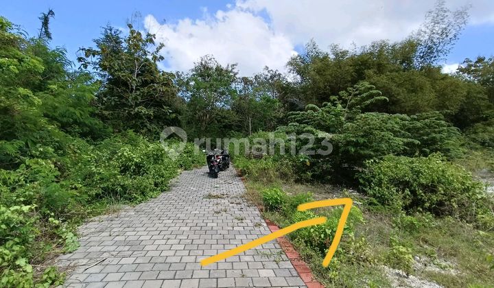 Tanah Kavling Kawasan Villa di Labuan Sait Pecatu Hanya 4 Menit Dari Padang-Padang Beach