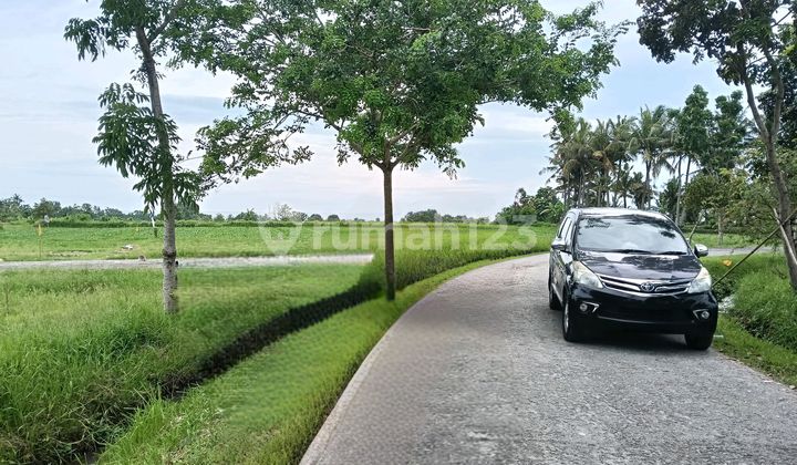 Exclusive - Tanah Kavling Super Cantik - View Sawah & Laut, Hanya 300 M ke Pantai Belong Exclusive - Tanah Kavling Super Cantik - View Sawah & Laut, Hanya 300 M ke Pantai Belong