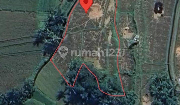 Tanah Ekslusif 2.825 M2 Zona Pariwisata View Gunung dan Hamparan Sawah Hijau yang Menenangkan di Ubud