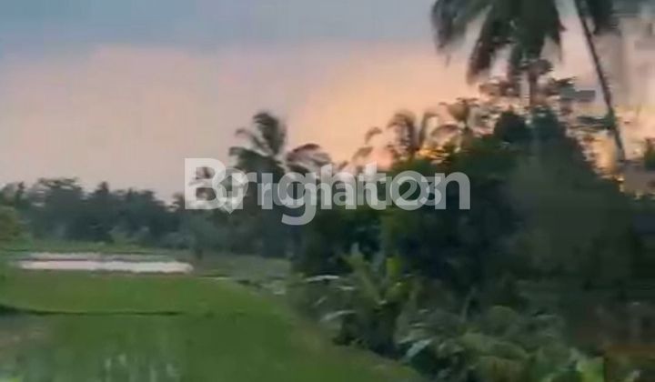 Investasi Menguntungkan Beli Tanah Bonus 3 Villa View Sawah & Sungai, Villa bisa Langsung Disewakan Harian, Lokasi di Tegallalang