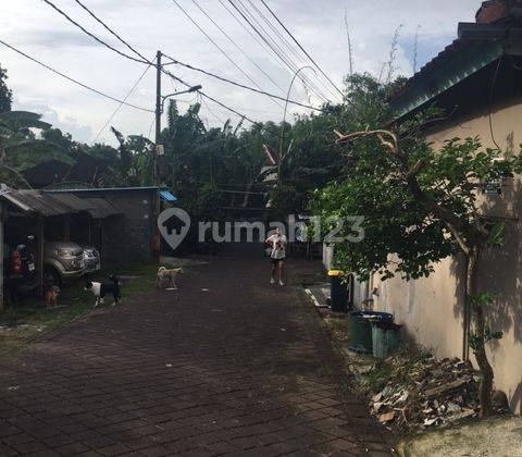 Dijual rumah dengan bisnis kos, lokasi strategis dekat kawasan pariwisata Nusa Dua, Bali, 