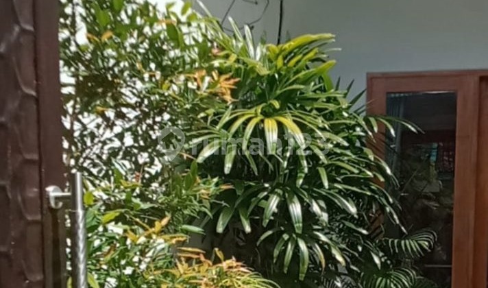 Modern 3-Bedroom Villa With Private Pool In Sanur (346V) 2