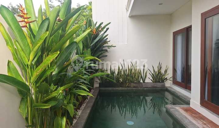 Move-In Ready Fully Furnished 3 Bedroom Villa In Sanur (374V) Move-In Ready Fully Furnished 3 Bedroom Villa In Sanur (374V)