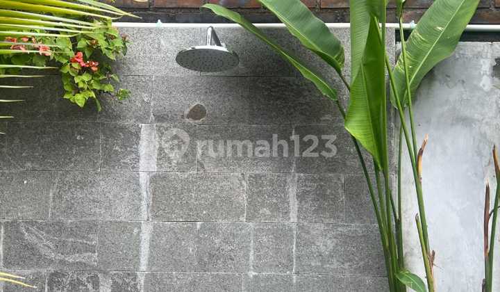 3 Bedroom Villa With Rice Field View Near Beach And Canggu (388V) 2