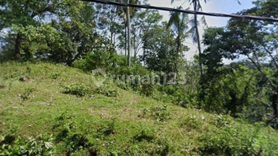 FOR SALE LAND IN GUNUNG SALAK TABANAN (244V)