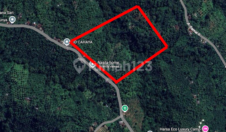 Tanah Kebun Cengkeh dan Kopi Pinggir Jalan 1,5 Hektar (408V) Tanah Kebun Cengkeh dan Kopi Pinggir Jalan 1,5 Hektar (408V)