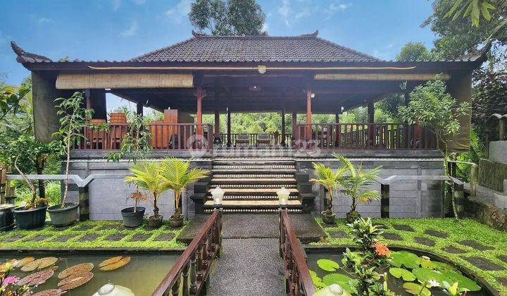 Villa Surga Tropis di Marga, Tabanan Luas  Tanah 36 Are (Jarot) 1