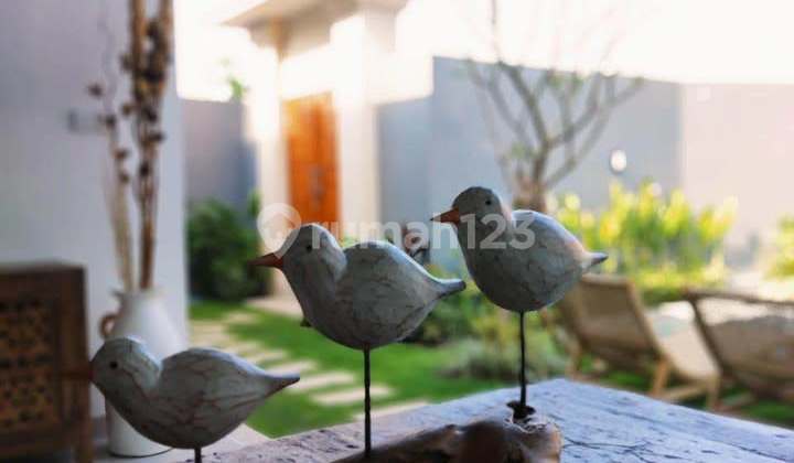 3 BEDROOMS VILLA FOR YEARLY RENT IN UMALAS (167V) 3 BEDROOMS VILLA FOR YEARLY RENT IN UMALAS (167V)