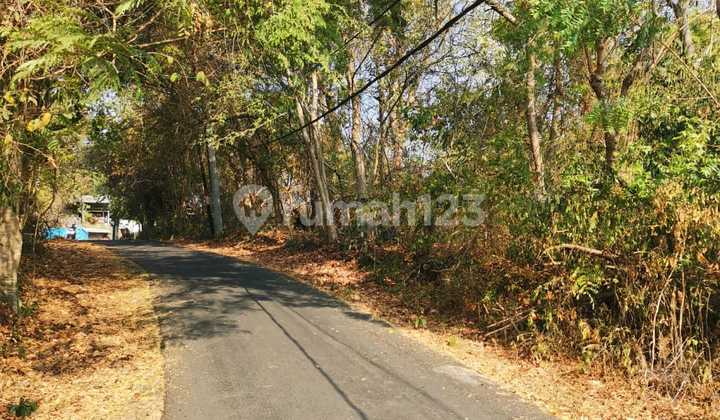 FOR RENT LAND LOCATION PADANG BAI KARANGASEM