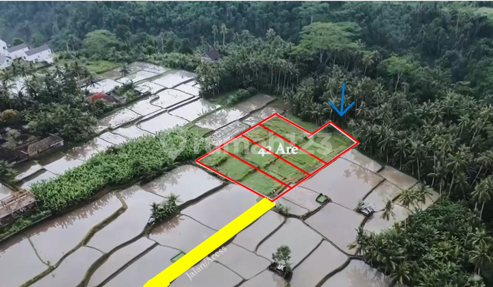 FOR SALE – Premium Land in Sukawati, Gianyar (87A1)