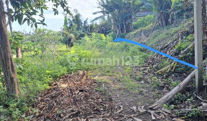 For Sale: Private Owned Land In Gianyar - Lebih Area (396V) For Sale: Private Owned Land In Gianyar - Lebih Area (396V)