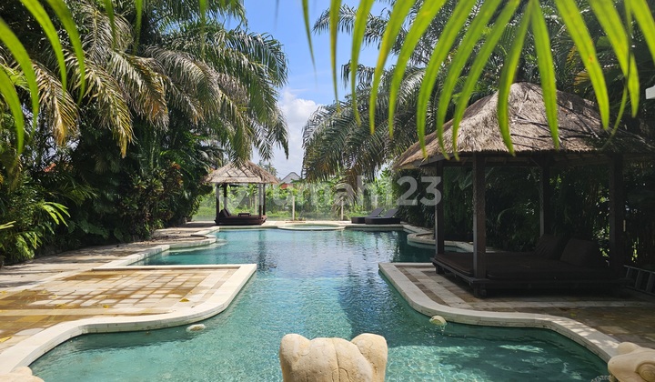 For Rent 3 Bedroom Villa In Sukawati Gianyar (306V)