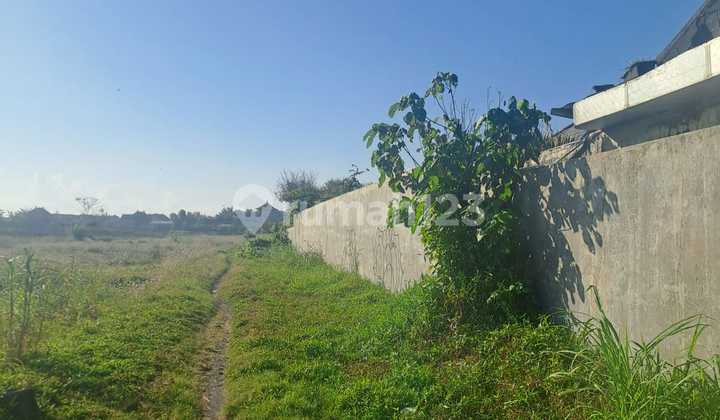 DI JUAL TANAH SPEKTAKULER, FRONT BEACH DI KETEWEL (93V)