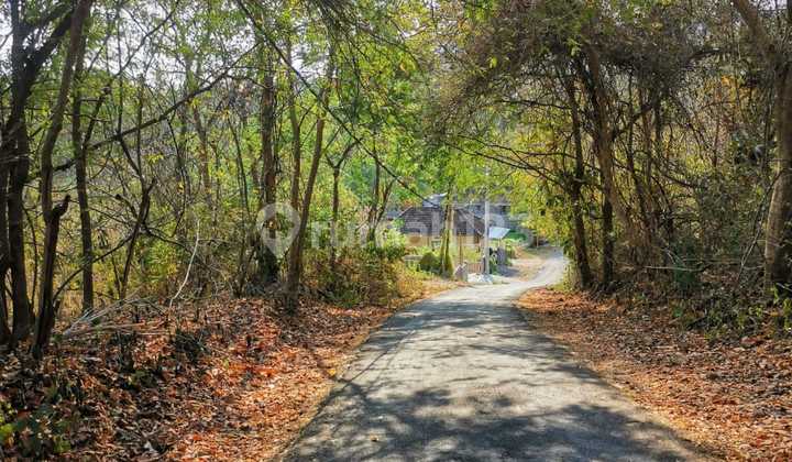 FOR RENT LAND LOCATION PADANG BAI KARANGASEM