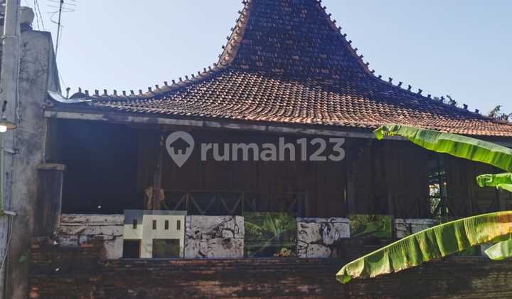 House with Rice Field View in Guwang Location House with Rice Field View in Guwang Location