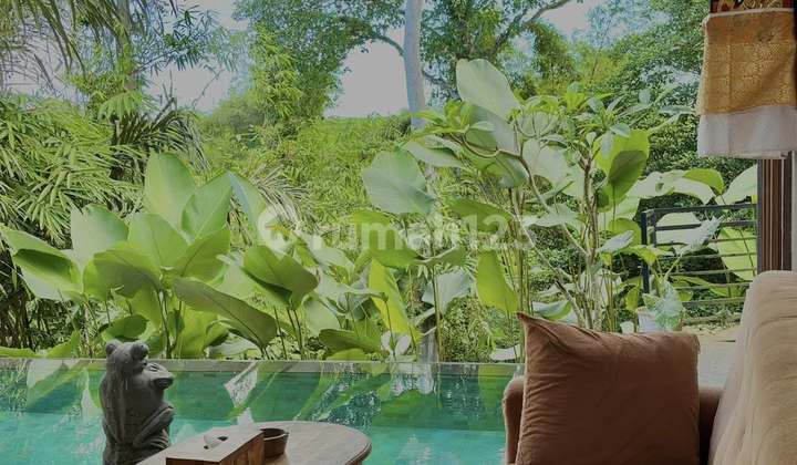 Private 2 Bedroom Villa With Jungle & River Views (215V)
