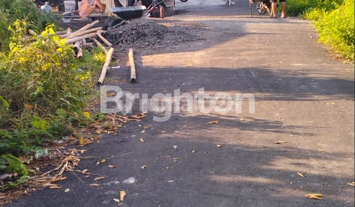 Dijual Tanah Kavling Mulai 1 Are Dekat Pantai Pering Blahbatuh Gianyar 