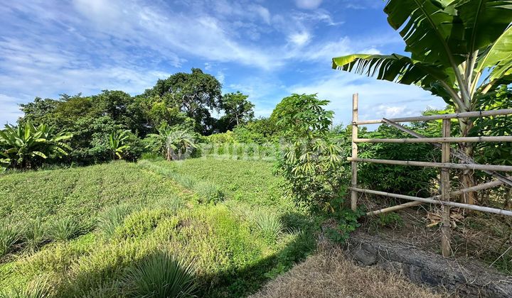 Dijual Tanah 1,68 Are Di Jalan Sedap Malam Denpasar (43A2)