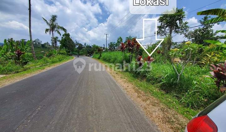 Land for Sale by the Road Near Bangkung Bridge, Petang (397V) Land for Sale by the Road Near Bangkung Bridge, Petang (397V)