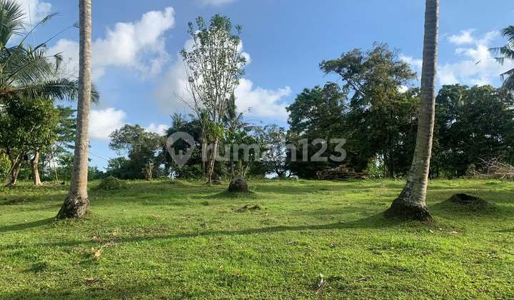 For Sale Freehold Land Area 1.12 Hectares in Selemadeg, Tabanan (369V)