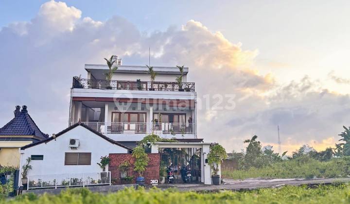 For Rent 4 Bedroom Guesthouse With Rooftop In Kedungu (342V)