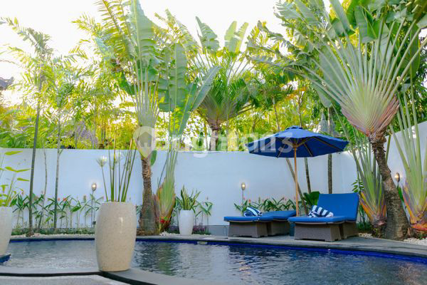 LUXURY FULLY FURNISHED VILLA IN THE HEART OF SEMINYAK (83A1) 2