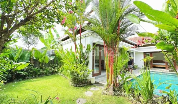 3 Bedroom Villa With Rice Field View Near Beach And Canggu (388V)