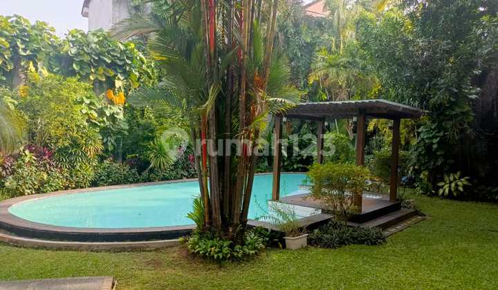 Small Resort In A Compound , Big Garden With Swimming Pool di Cilandak 2