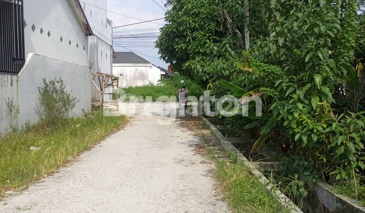 Tanah Luas cocok untuk dibuat Kavling Tempat Tinggal