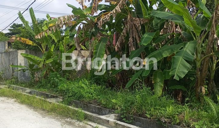 Tanah Luas cocok untuk dibuat Kavling Tempat Tinggal