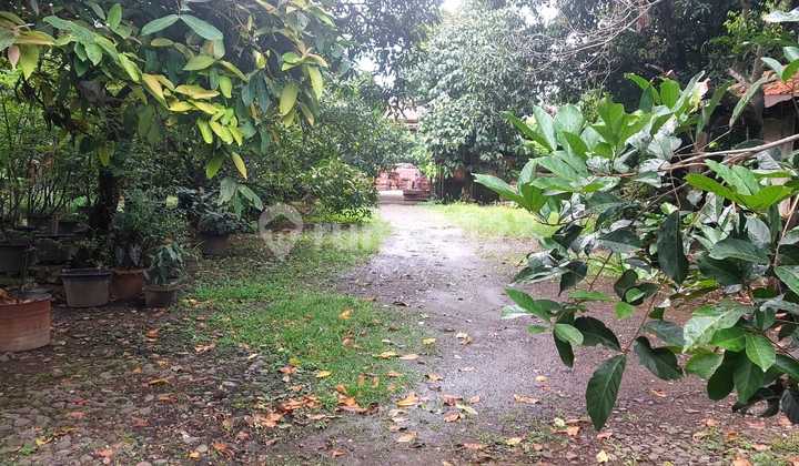 Kavling Cipondoh Raya Disewakan, Super Strategis, Baik Buat Usaha, Bebas Banjir Kavling Cipondoh Raya Disewakan, Super Strategis, Baik Buat Usaha, Bebas Banjir