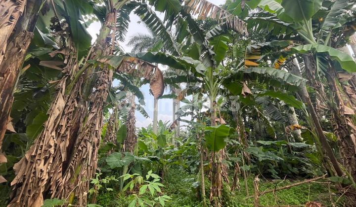 Dijual Tanah di Ciputat