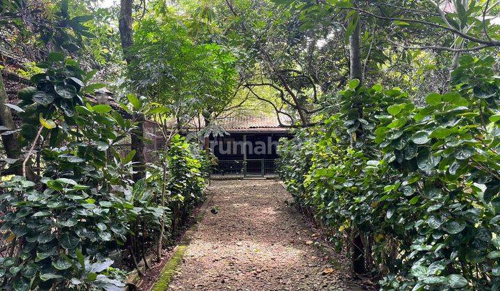 Tanah Murah Disetu Bekasi 2