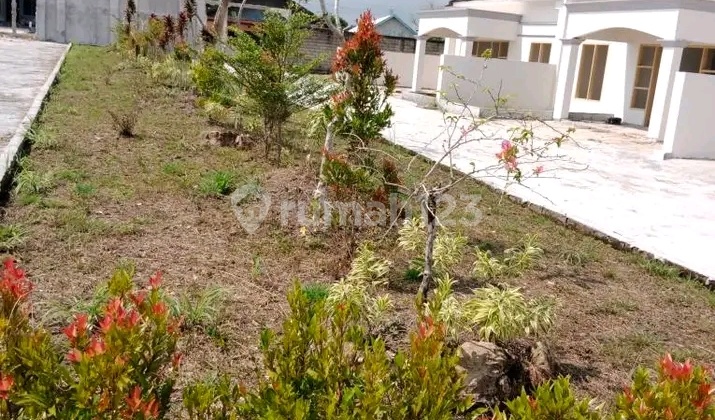 Luxury House Low Price In Pangkalan Bun 2