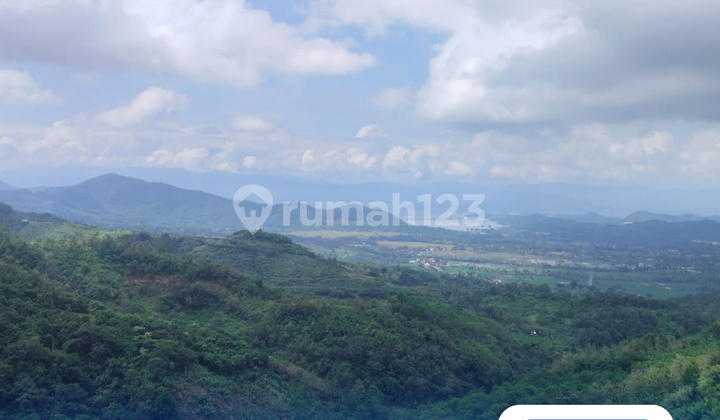 DIJUAL TANAH UNTUK PERKEBUNAN / INVESTASI BESAR DIJUAL TANAH UNTUK PERKEBUNAN / INVESTASI BESAR