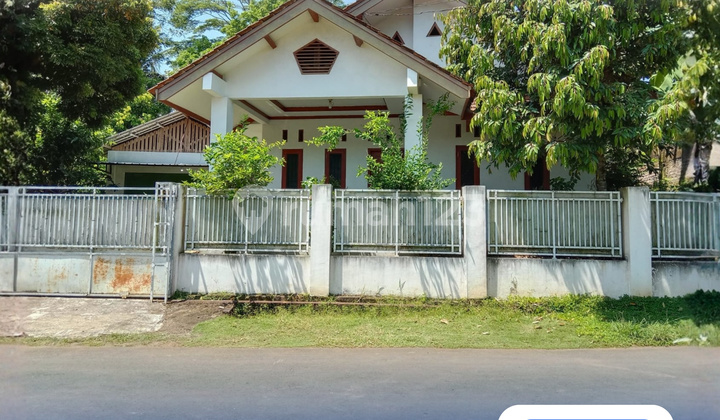For Sale: House, Warehouse & Teak Garden - Pamarican, Ciamis For Sale: House, Warehouse & Teak Garden - Pamarican, Ciamis