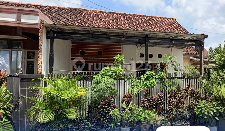 Strategic and Flood-Free Affordable House