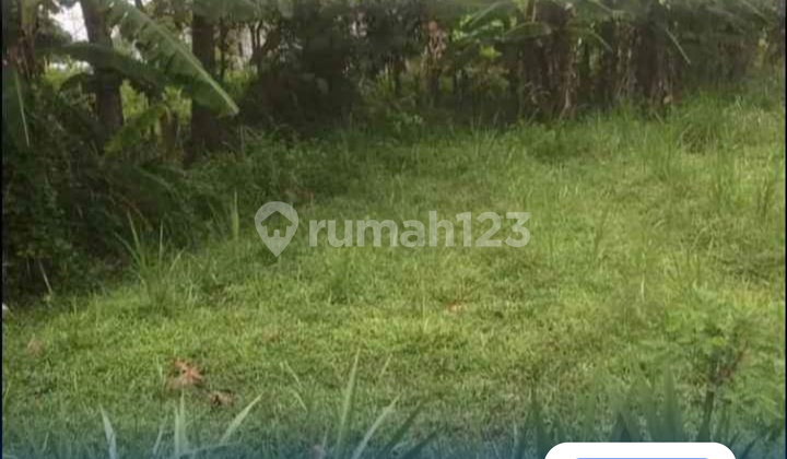 Strategic Land for Sale in Blora – Affordable Price