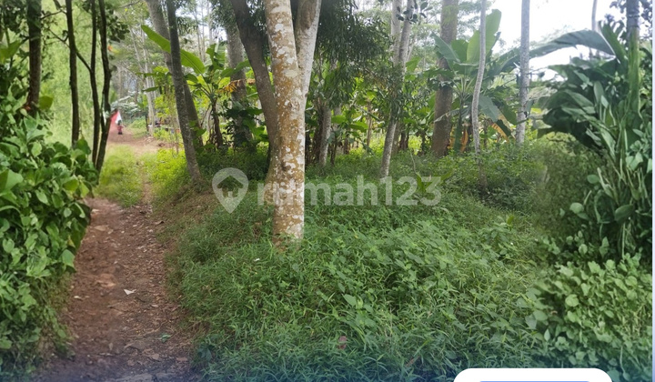 Dijual Tanah Strategis di Kedungpane, Mijen – Semarang 1