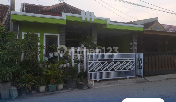 DIJUAL RUMAH SIAP HUNI DI SUKARAME, BANDAR LAMPUNG DIJUAL RUMAH SIAP HUNI DI SUKARAME, BANDAR LAMPUNG