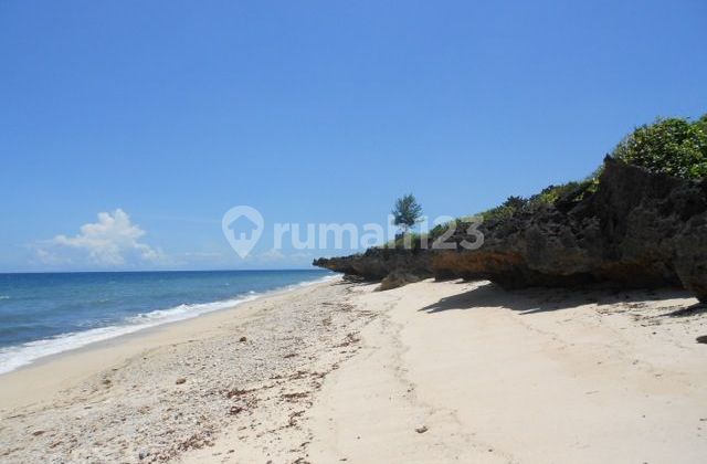 Tanah Premium 10.000 m2 Pantai Sumba-Investasi Emas Terbaik Tanah Premium 10.000 m2 Pantai Sumba-Investasi Emas Terbaik