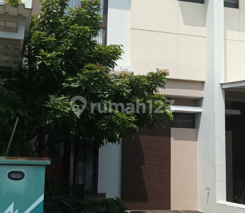 Rumah di Sewakan Cluster Burgundy Sumarecon Bekasi Rumah di Sewakan Cluster Burgundy Sumarecon Bekasi