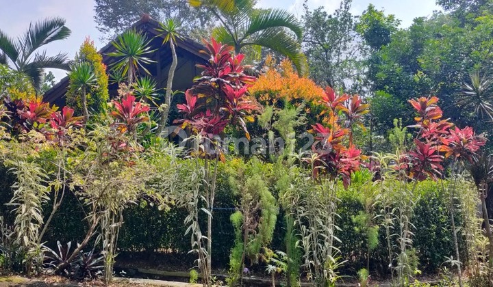 FOR SALE: GRAND TRAWAS VILLA, BEAUTIFUL AND WELL-MAINTAINED, READY TO OCCUPY, TRAWAS, MOJOKERTO