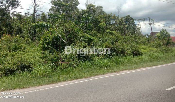 TANAH DI JALAN PADANG,DIJUAL 2