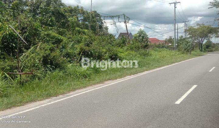 TANAH DI JALAN PADANG,DIJUAL 1