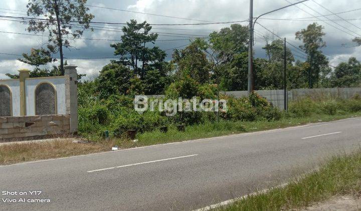 TANAH DI BANGKA JALAN PADANG DIJUAL 2