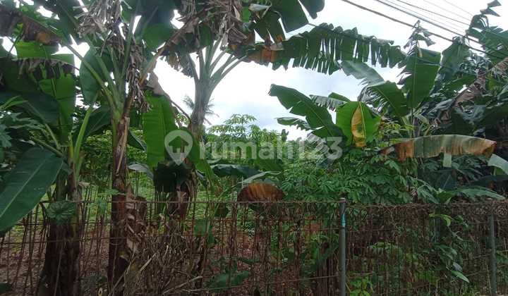 Dijual Tanah Murah Luas 1500 M2 Dekat Bukit Golf Cibubur Dijual Tanah Murah Luas 1500 M2 Dekat Bukit Golf Cibubur