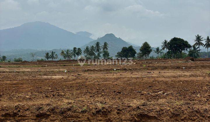 Tanah Kavling Eksklusif Di Bogor Mulai 88 Jutaan Per 100 M² 2